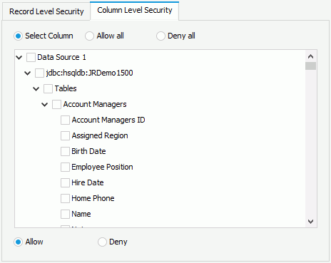 Column Level Security